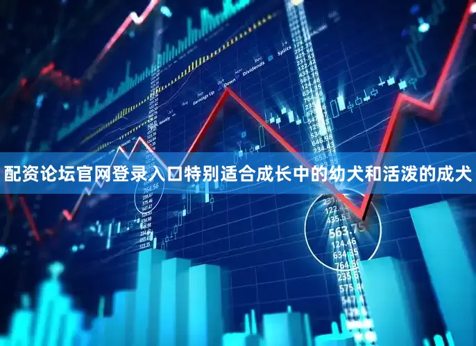 配资论坛官网登录入口特别适合成长中的幼犬和活泼的成犬
