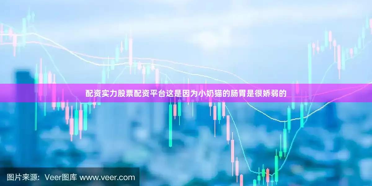 配资实力股票配资平台这是因为小奶猫的肠胃是很娇弱的