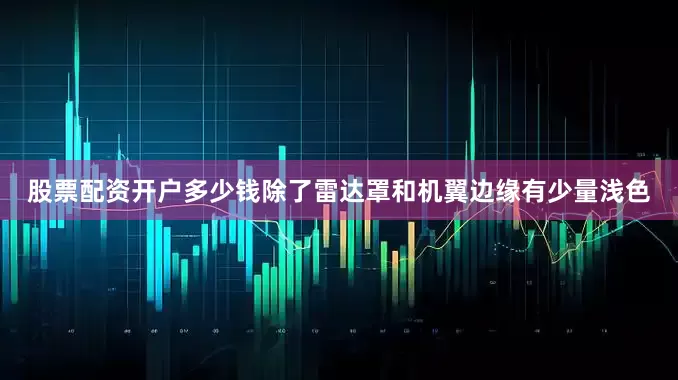股票配资开户多少钱除了雷达罩和机翼边缘有少量浅色