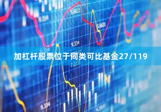 加杠杆股票位于同类可比基金27/119