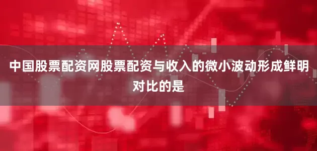 中国股票配资网股票配资与收入的微小波动形成鲜明对比的是