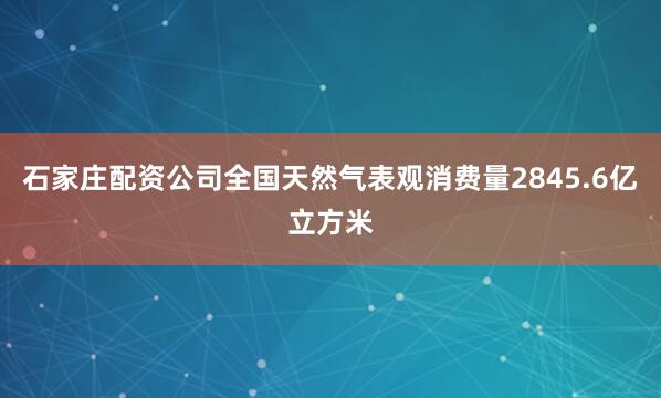石家庄配资公司全国天然气表观消费量2845.6亿立方米